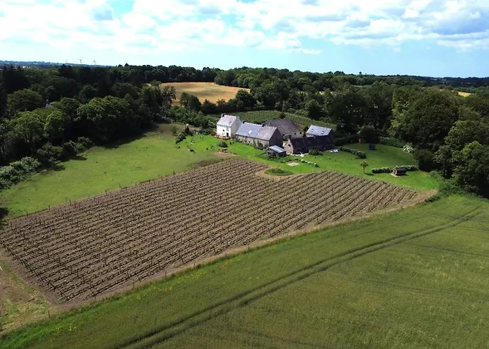 Tonneau Bulle Insolite, Vue Sur Vignoble