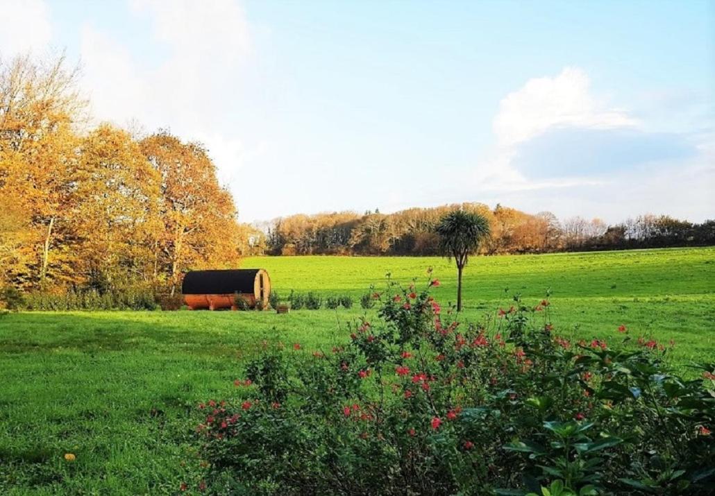 Tonneau Bulle Insolite, Vue Sur Vignoble