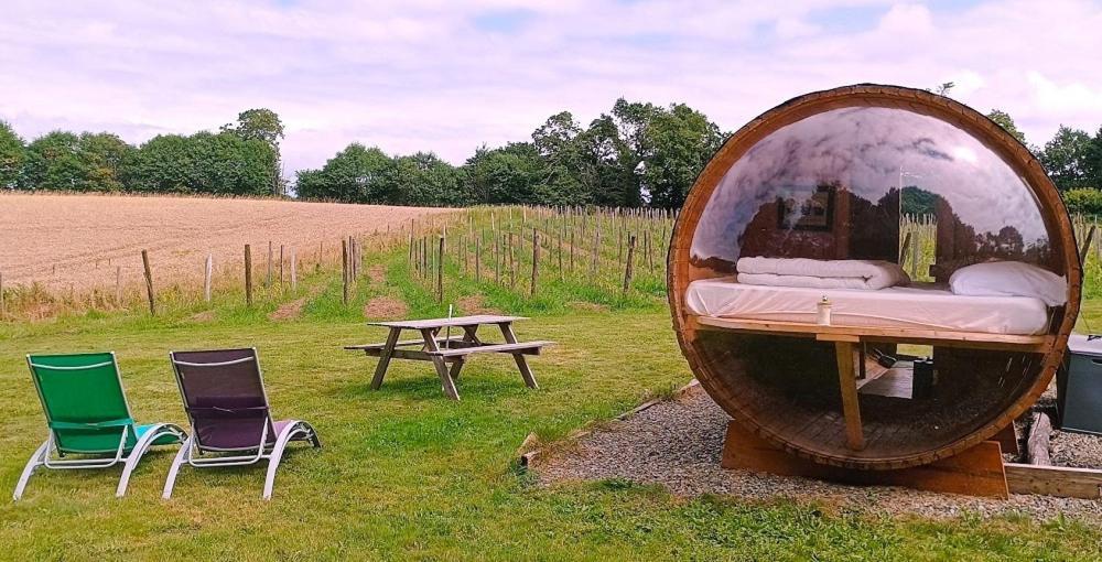 Tente de luxe Tonneau Bulle Insolite, Vue Sur Vignoble *